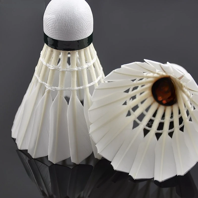 

Badminton Flight Stable Hit E****mic Training Tournament Club