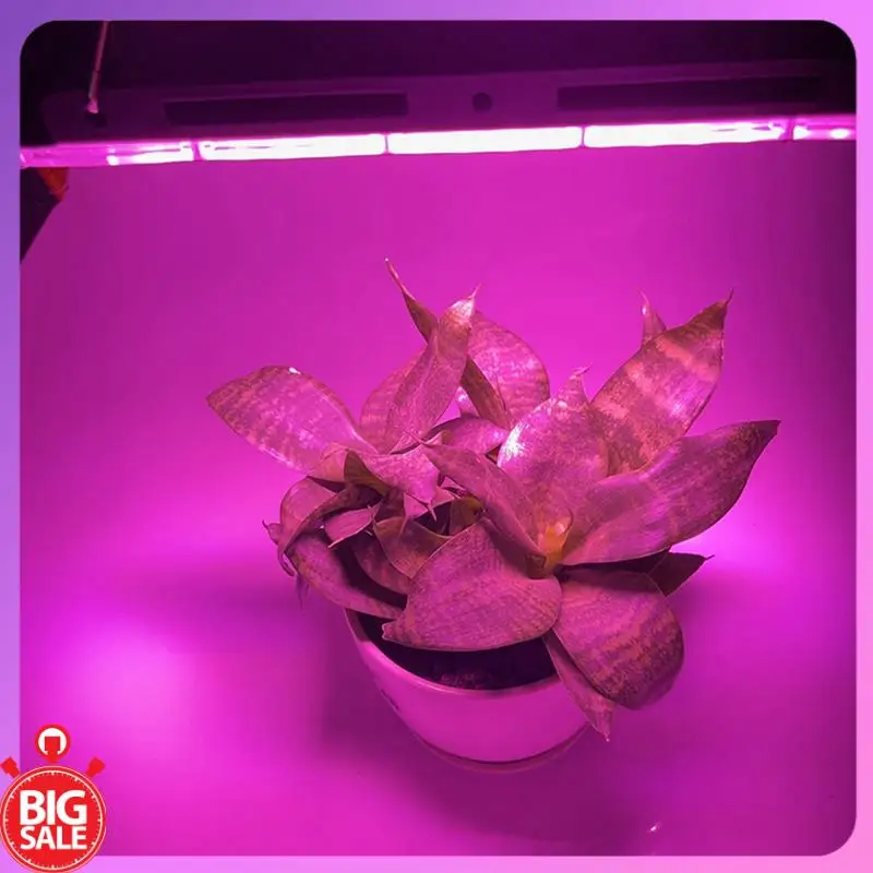 큰 거래 Phytolamp 범위 램프 식물 텐트 꽃 파종 200W EU 플러그에 대 한 야외 투광 조명