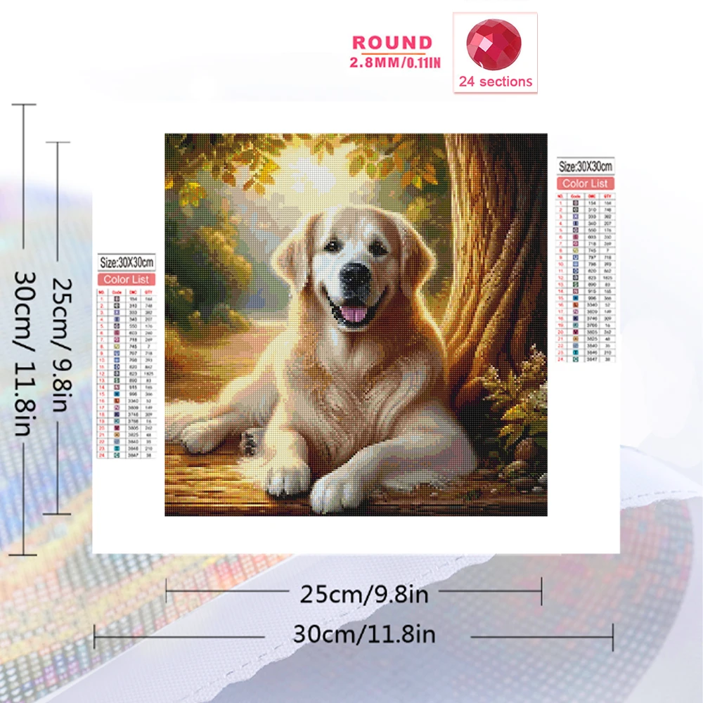 Evershine 5D fai da te diamant - Resin Craft For Beginners recensione e prezzo