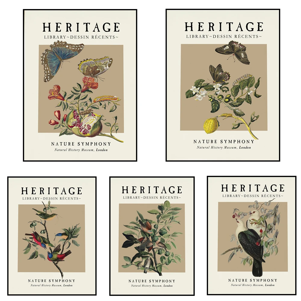 Vintage botanical poster, botanical bird berry print, butterfly, peony rose wildflower, camellia, illustration, exotic nature ar