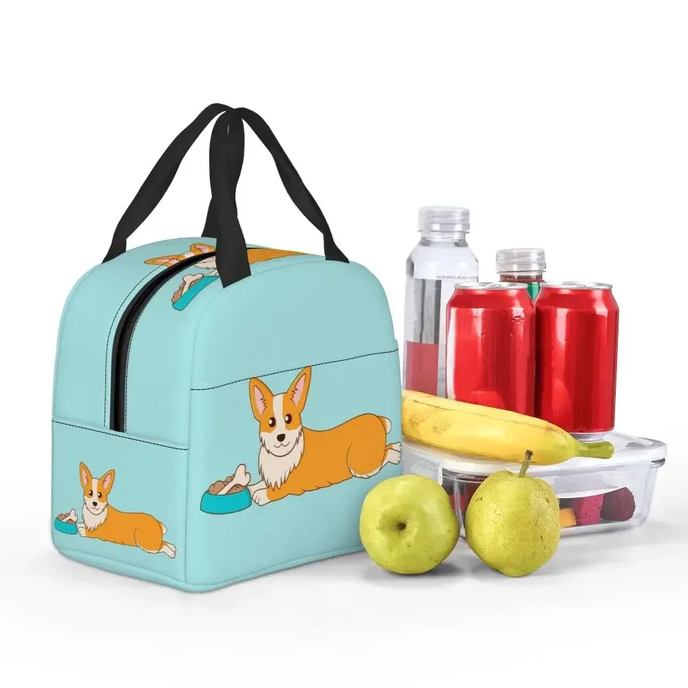 Corgi Puppy Lie Down In Blue Background Insulated Lunch Bag for Kid Cooler Thermal Food Box Tote Leakproof Lunch Boxes Container