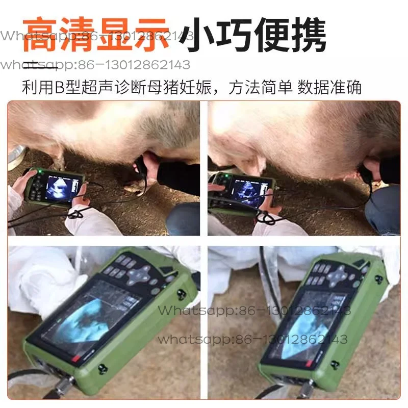 Veterinary ultrasound machine, mechanical probe 5.6 inches Color veterinary ultrasound machine Ultrasonic diagnostic instrument