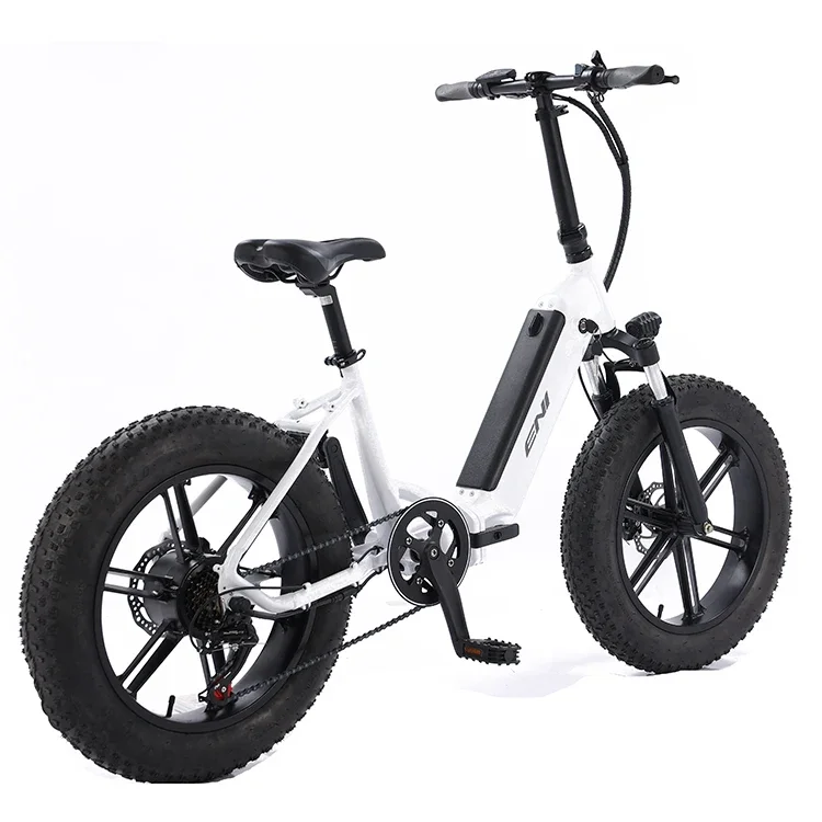 

1500w pedal assisted electric bike bicycle,New hot sale 2021 48v 1000w mountain fat tire/20" Electric bicycle e bike for sale