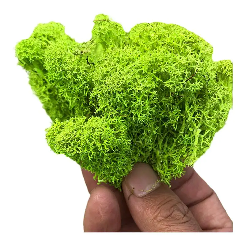 100/200/500g Cheap HI-Q Artificial Grass Green Immortal Moss Plants Fake Flower DIY Decor For Home Handscape Plants Wall Garden