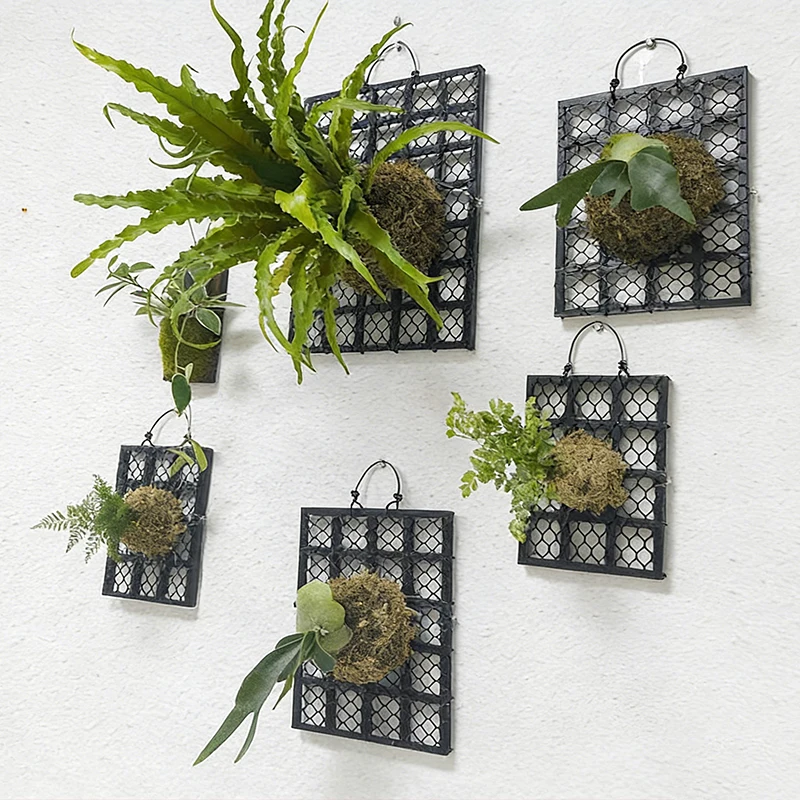 Breathable Plastic Grid Stagho - Plant Parent 评论和价格