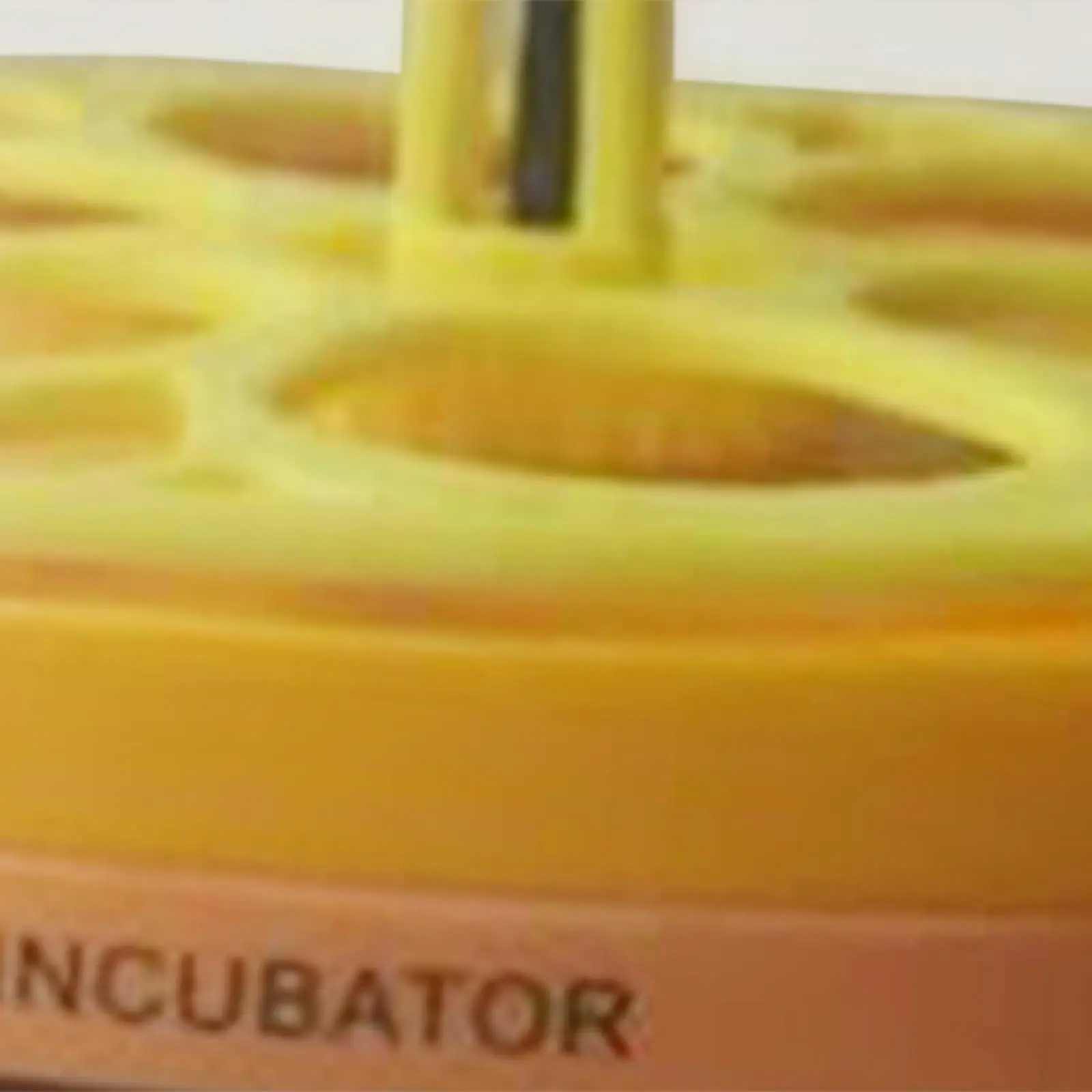 Inkubator do jaj Wtyczka EU Niezawodny mini inkubator do użytku domowego Jaja kurze