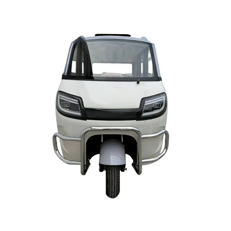 Hot Multifunctional Electric Three Wheel Tricycle Closed Body Range Extender Cargo Carrying City Transport Passenger for Adults