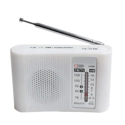 DIY Kit Electronic Radio 76-108MHz CD9088 Chip Component AM FM Production Assembly DIY Electronic Soldering Practice Kit