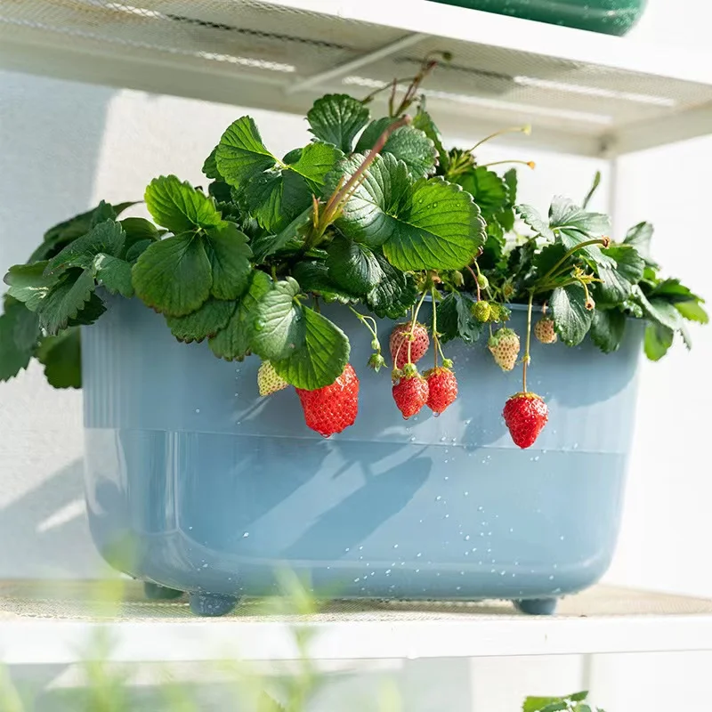 New Self Watering Flower Pots High-capacity Indoor Windowsill Vegetable Planter Green Plant Nursery Planting Pots Garden Decor