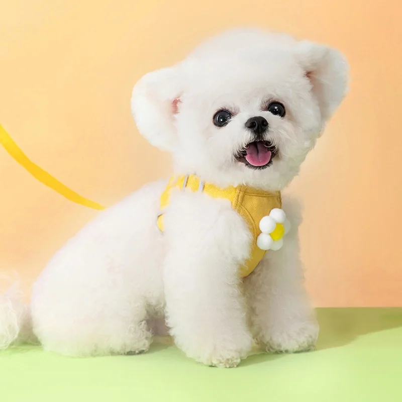 Fashion Dog Harness Leash Set Adjustable Puppy Harness Vest Cute Patten Cat Chest Strap Chihuahua Pet Walking Outdoor Supplies