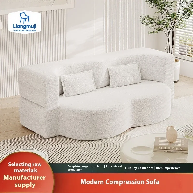 

Comfortable Double Sofa Bed, Dual-purpose Small Living Room Sofa, Foldable Compression Sofa Bed, High Rebound Sponge furniture
