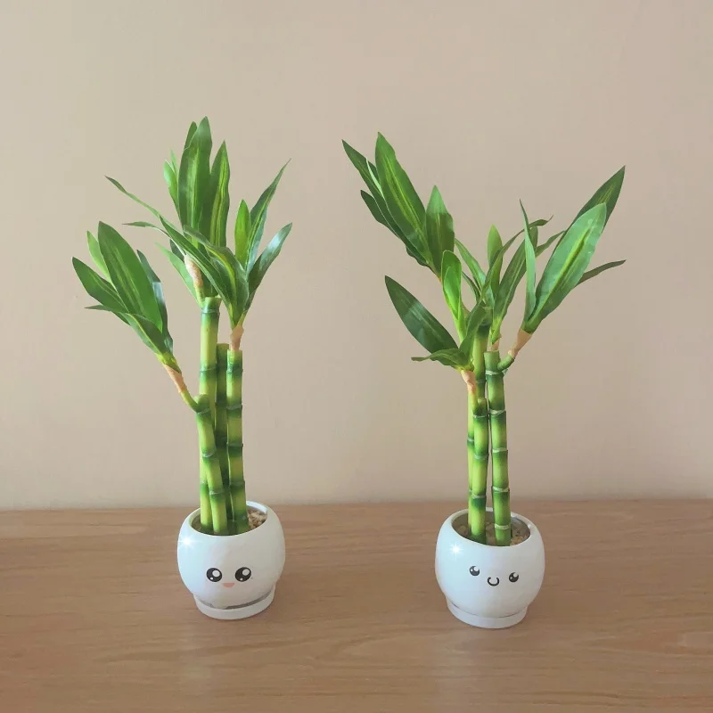 

New Green Artificial Plants Home Decoration Lucky Bamboo Small Courtyard Flower Art False Flower living Room Desktop