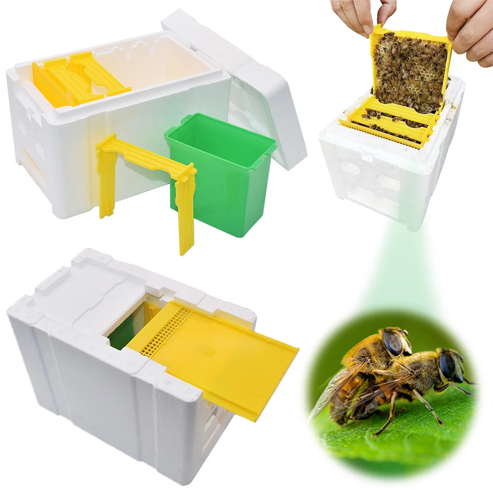 

Пенопластовая коробка для пчел, универсальная коробка для разведения пчел, коробка для заполнения пчел, улей для выращивания пчел, для выращивания пчел