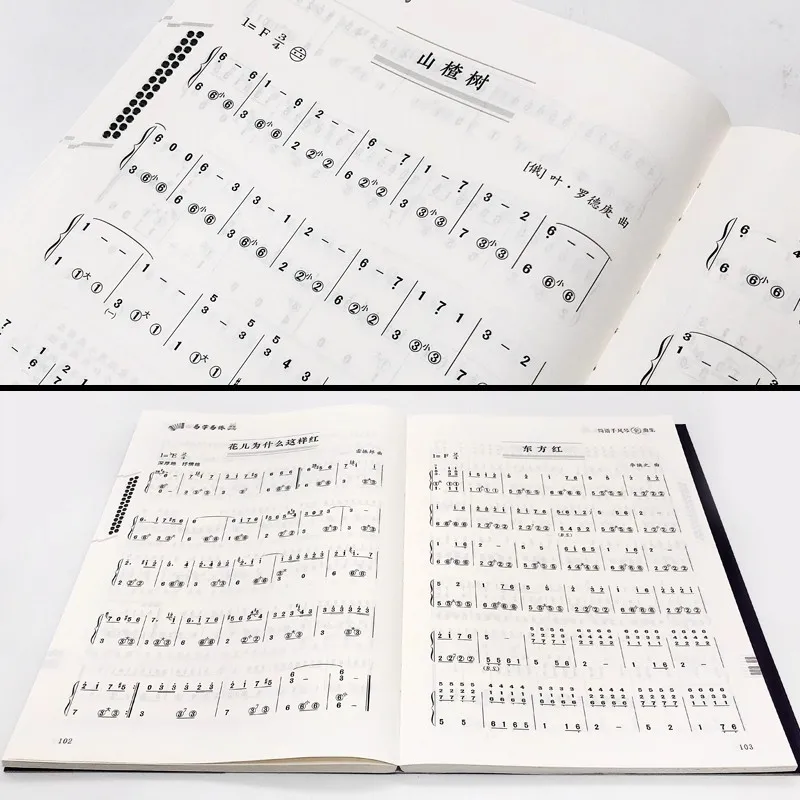Easy To Learn Practice Simplified Sheet Music, Accordion Popular Music Tutorial Book