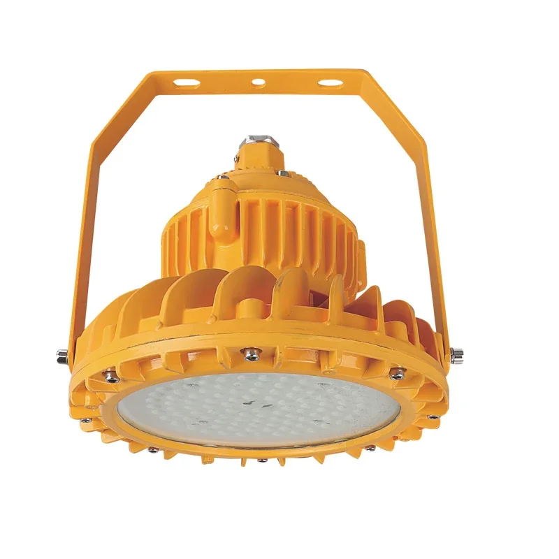 Explosion Proof Lighting Explosion-Proof Flood Lamp