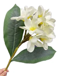 One Silk Frangipani Flower Branch with Green Leaves Plumeria Rubra White Frangipani Flower