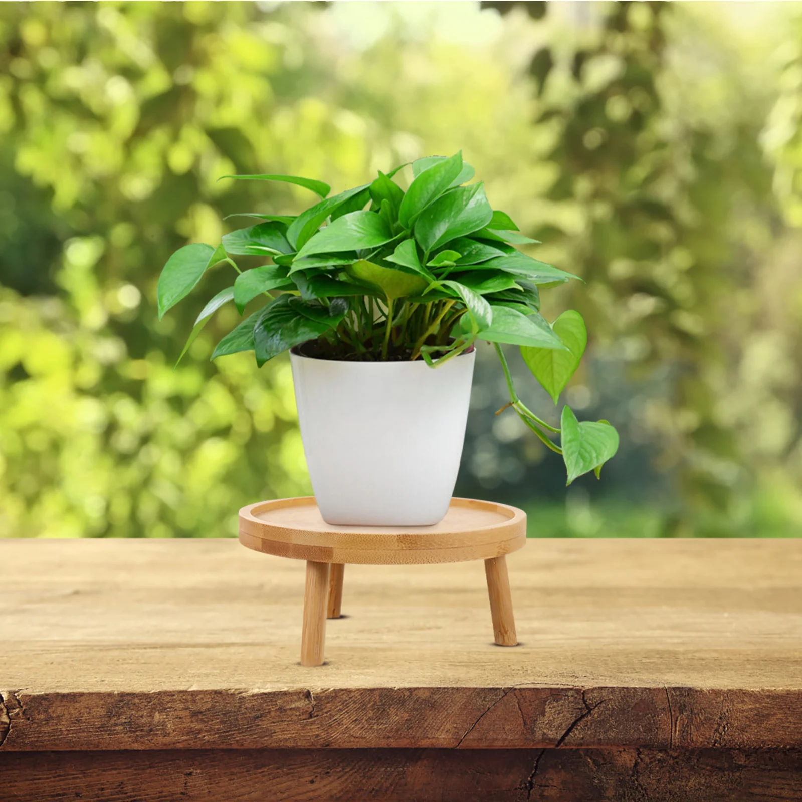 Soporte de flores para exhibición de plantas, maceta de balcón de madera redonda, estante decorativo, estante rústico en maceta, soportes de maceta