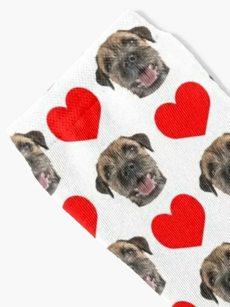 cute border terrier dog face heart pattern funny border terrier valentines day gift Socks gift warm winter Man Socks Women's