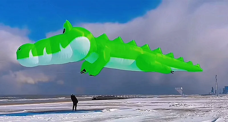 Krokodildrachen fliegende Schnurlinie aufblasbare Drachen Cerf-Valance Cometas Weifang Drachen riesiger Oktopus Bar Drachen Sport im Freien Spaß