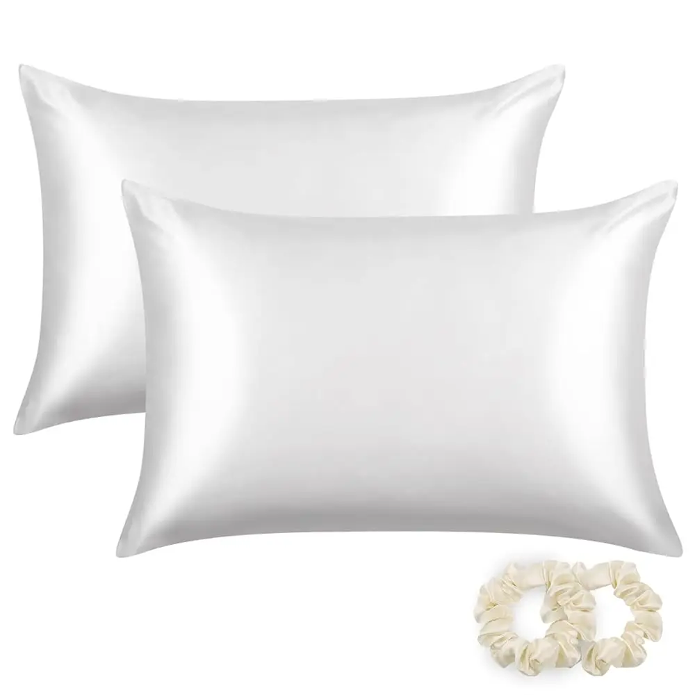 

Silk Pillowcases 2 Pa 22 Momme Mulberry Silk Pillow Cases, Queen Size(Set Of Two, Cool White)