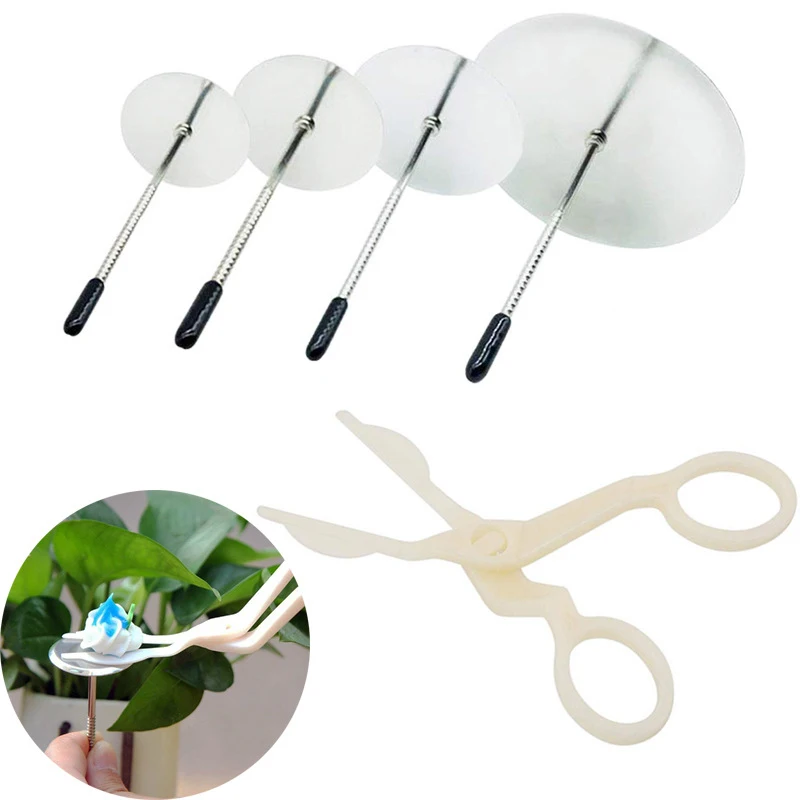 

5Pcs Cake Flower Nail and Flower Lifters Cake Decorating Tool Cake Flower Nail Lifters Kit Icing Flowers Decoration Baking Tool