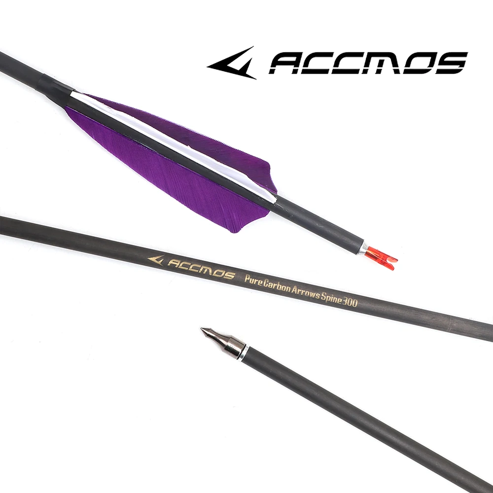 Pure Carbon Arrow for Recurve Compound Bow Shooting Hunting Prac, ID 6.2mm Spine, 300 350 400 500 600 700 800, 31Inch, 6, 12, 18