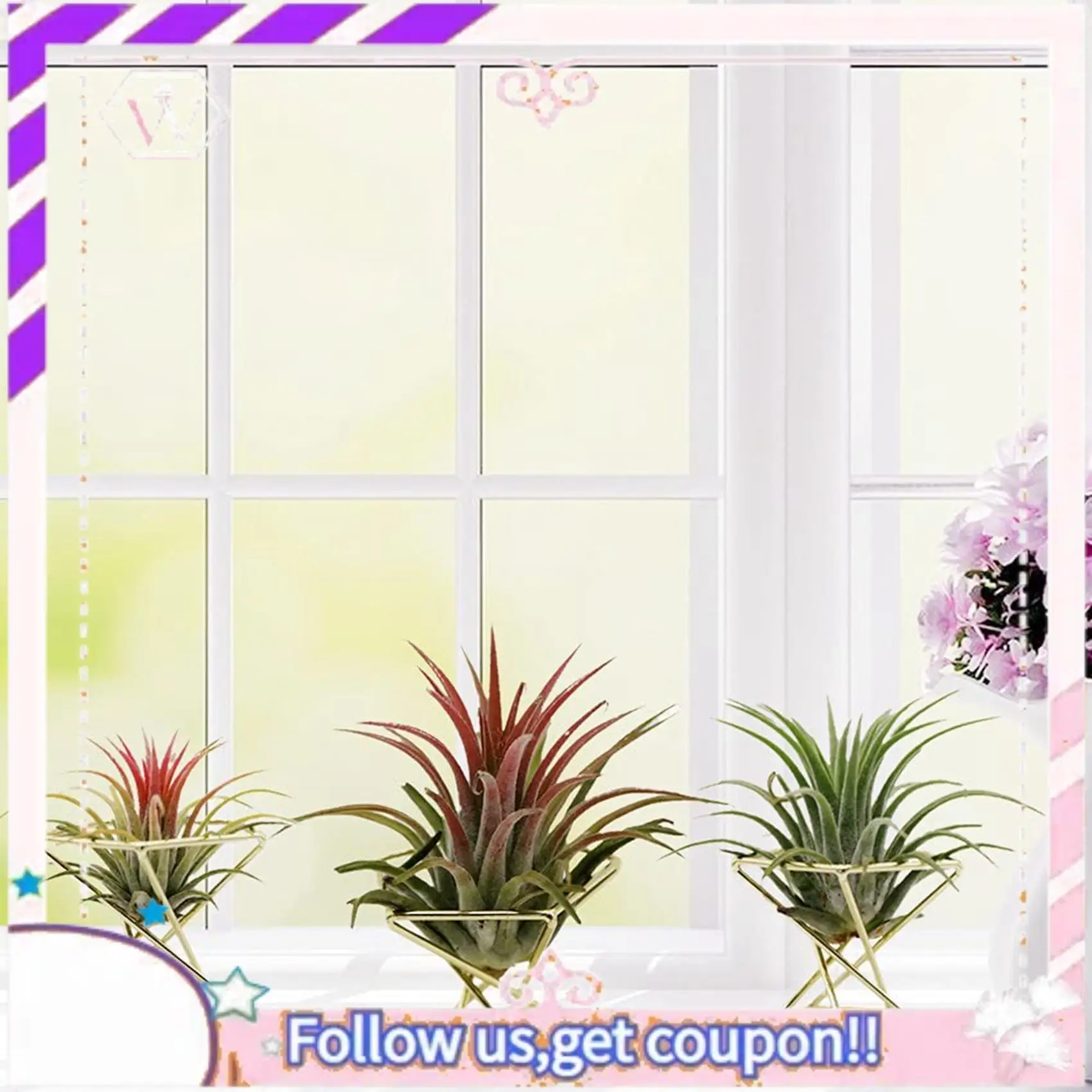 

Y74A-8 шт. геометрический держатель для воздушных растений, стойка для самолетов, металлическая подставка для растений, полки для цветов, декор Himmeli, контейнеры Tillandsia