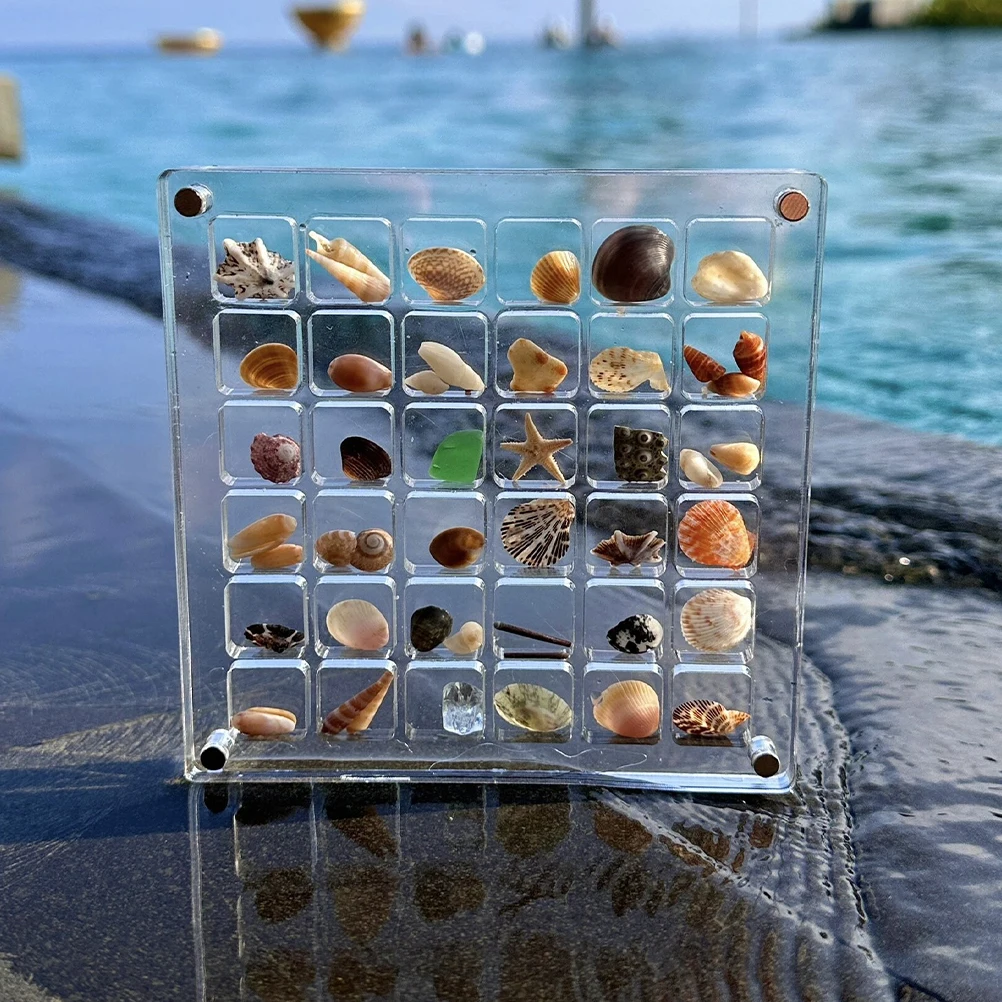 

2 Pcs Shell Display Box Rock Collection Case Showcase Sea Holder Seashell Acrylic