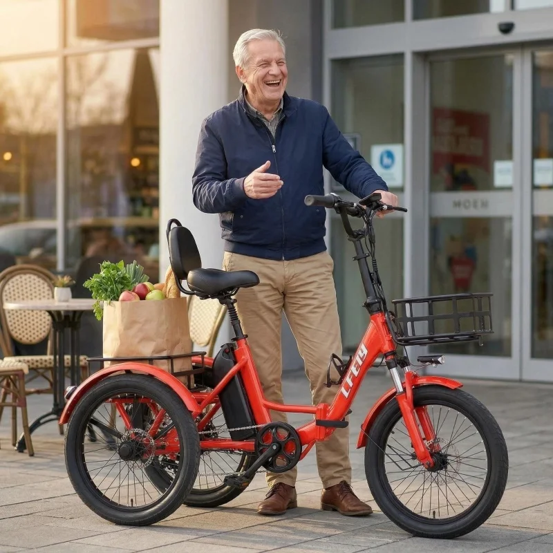 350W48V 15Ah Elderl…