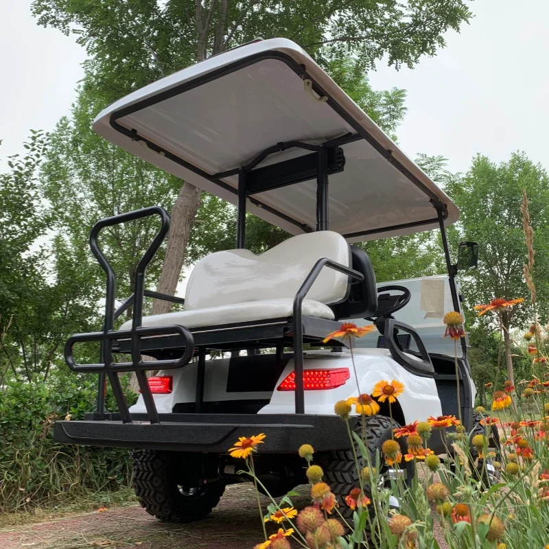 4 Seater 4/5KW AC Motor Off-Road Scooter 72V Lithium Aluminum Wheels Electric Golf Cart 12 Inch Tires Front Basket Sound Bar