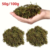 50g/100g Artificial Moss Potted Plants Preserved Greenery Faux Moss Indoor Micro-Landscape Decor Terrariums Craft Home Decor