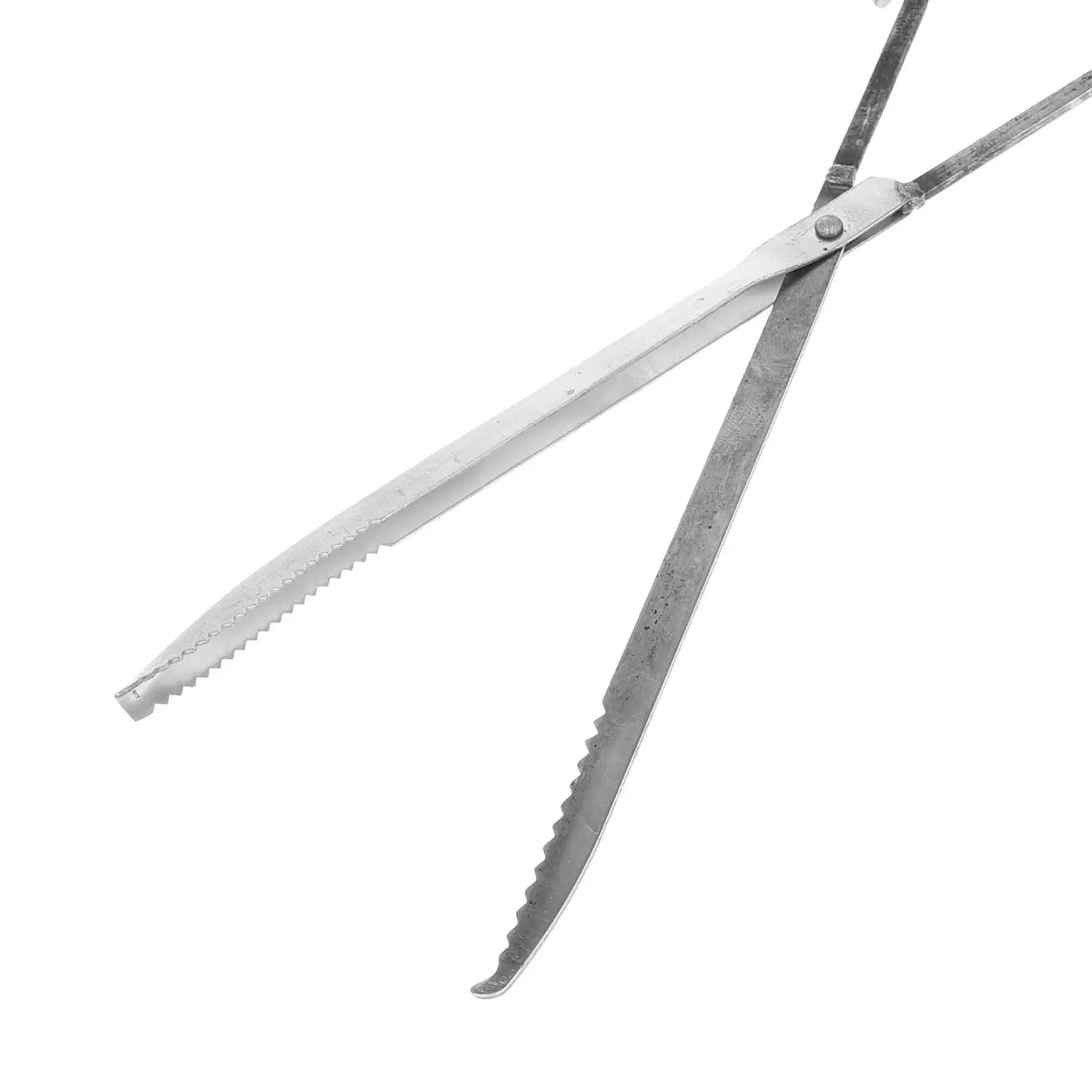 Heavy-Duty Steel Crab Tong Ergonomic Handle for Crabs Lobsters Eels Seafood Catching Tool Beach Lake Outdoor Fishing Clamp