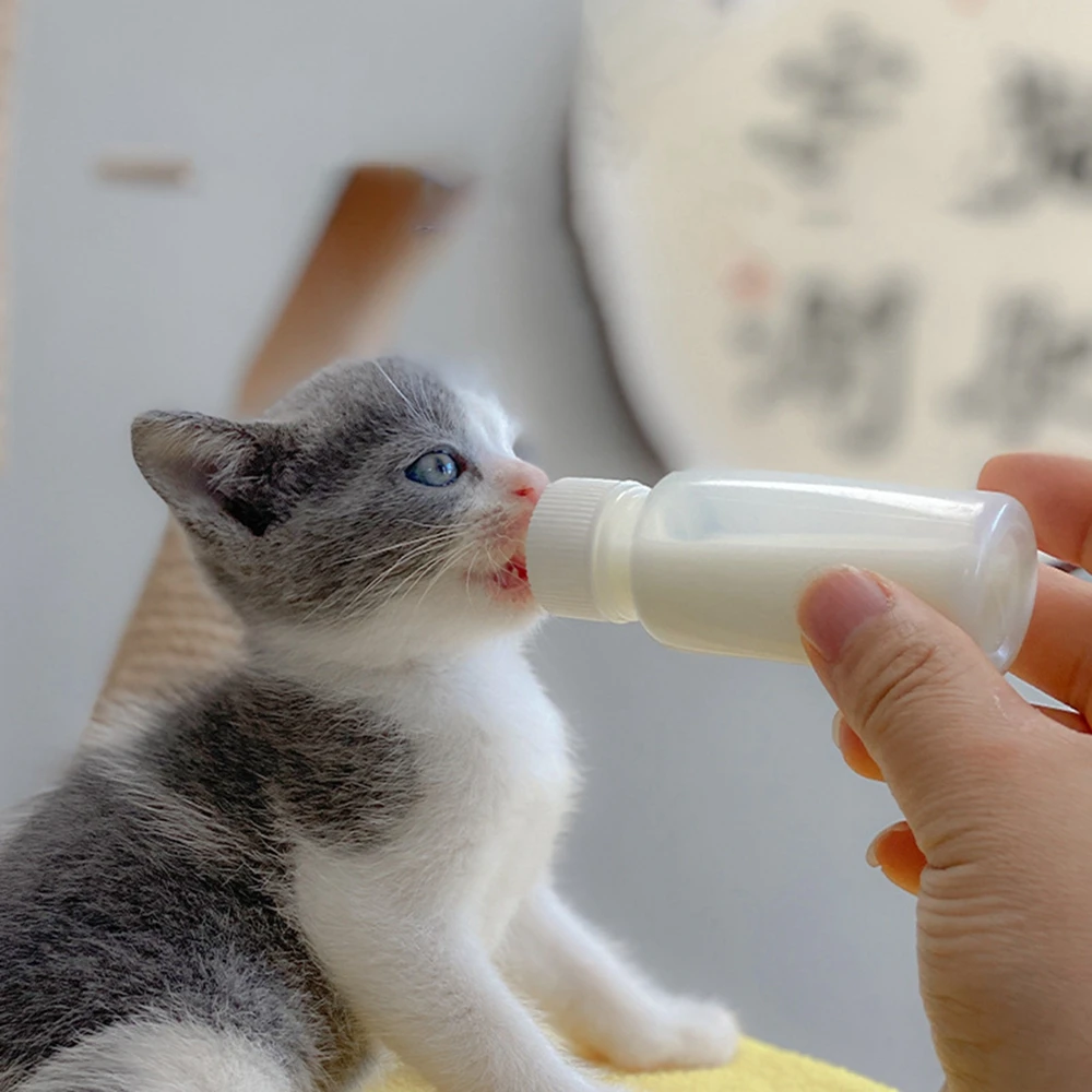 Pet Feeding Device Set Cat Dog Care Nipple Bottle Suit Newborn Kitten Feed Device with Feeding Bottle Puppy Pet Accessories