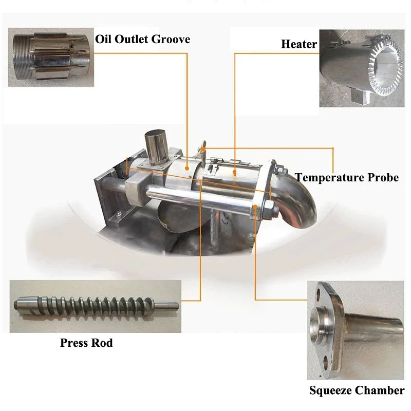 

Commercial Automatic Oil Squeezer 20Kg/h & Industrial Nut Oil Making Machine for Various Seeds