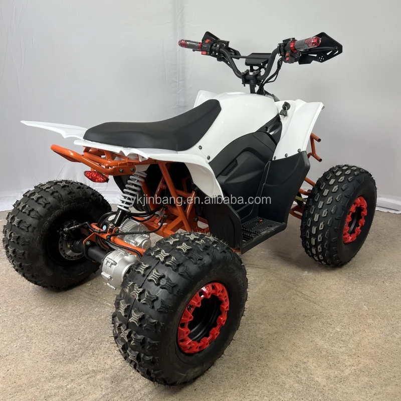 CE Approved 125cc Automatic Chain Drive Quad Bike ATV 4-Wheeler for Kids