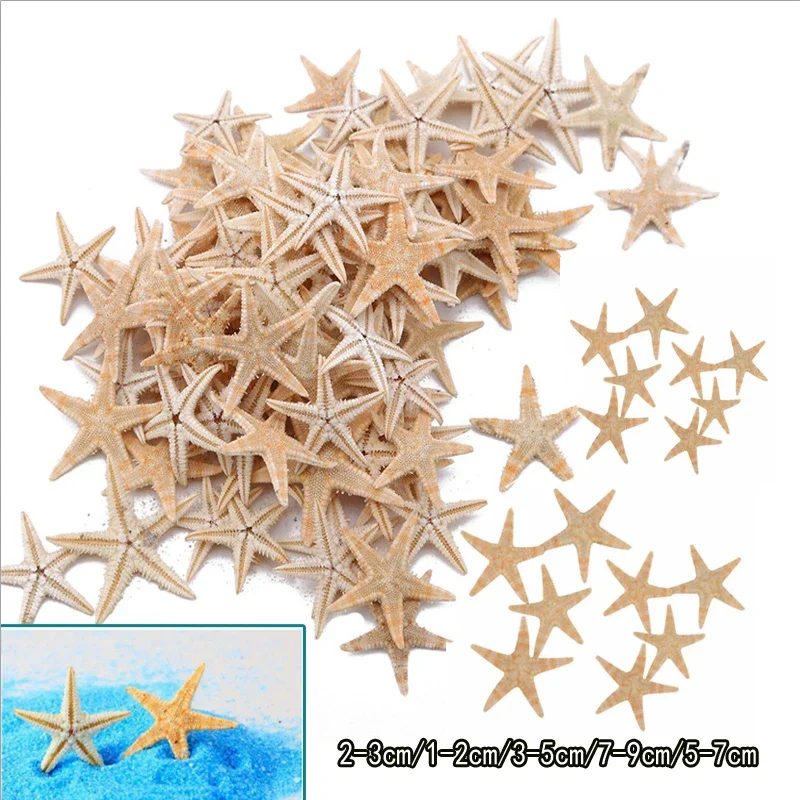 5/25/50 Uds Mini concha de estrella de mar decoración artesanal estrellas de mar DIY cabaña de playa decoración de boda conchas de mar fiesta concha