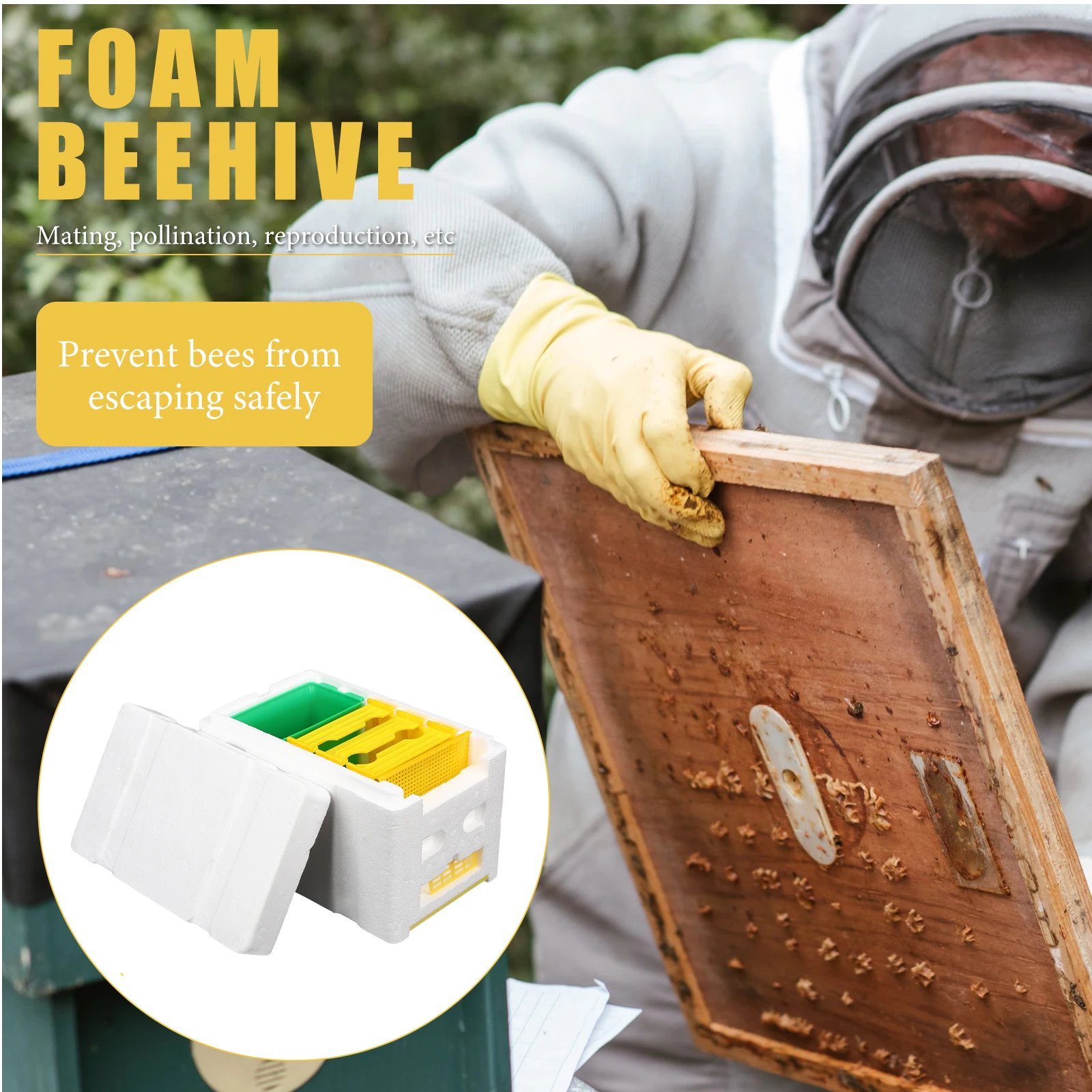 

3 Frames Beehive Box Plastic Foam Lightweight Bee Breeding Equipment Garden Tool Beekeeping Accessories