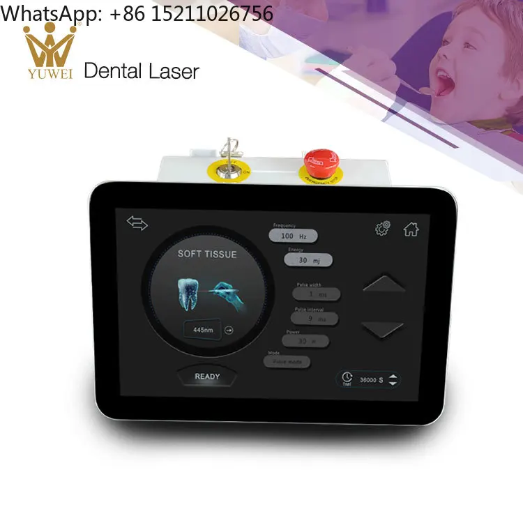 den-tal 3W Medical Deep Soft Tissue Diode- Portable Therapy Pain Relief Machine for Commercial Use