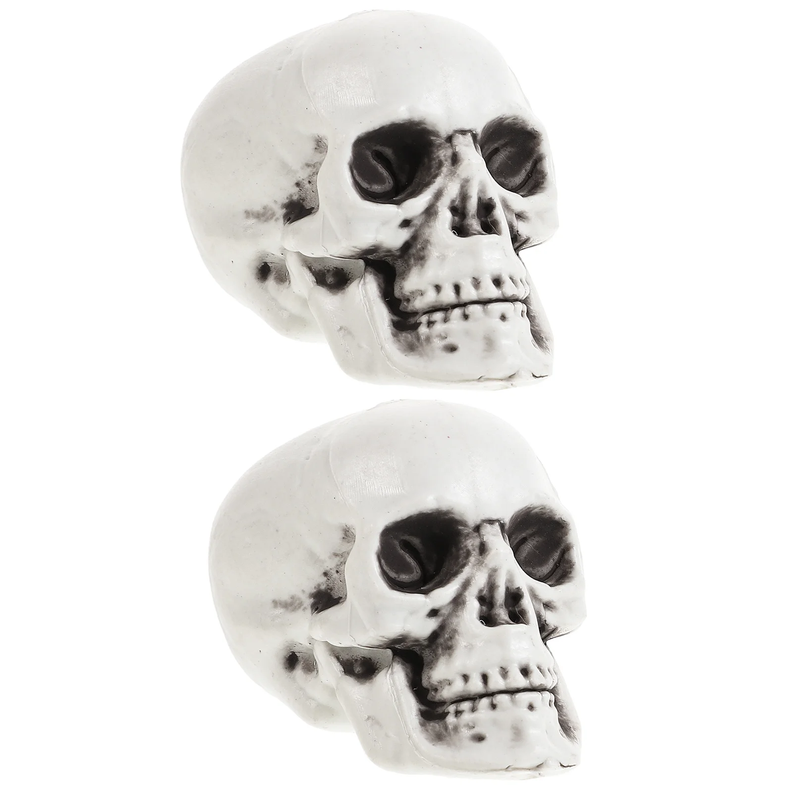 2 قطعة الدعائم الجمجمة هالوين البلاستيك الجمجمة رؤساء زاحف ديكور لحزب مسكون كرنفال الديكور الرعب رئيس