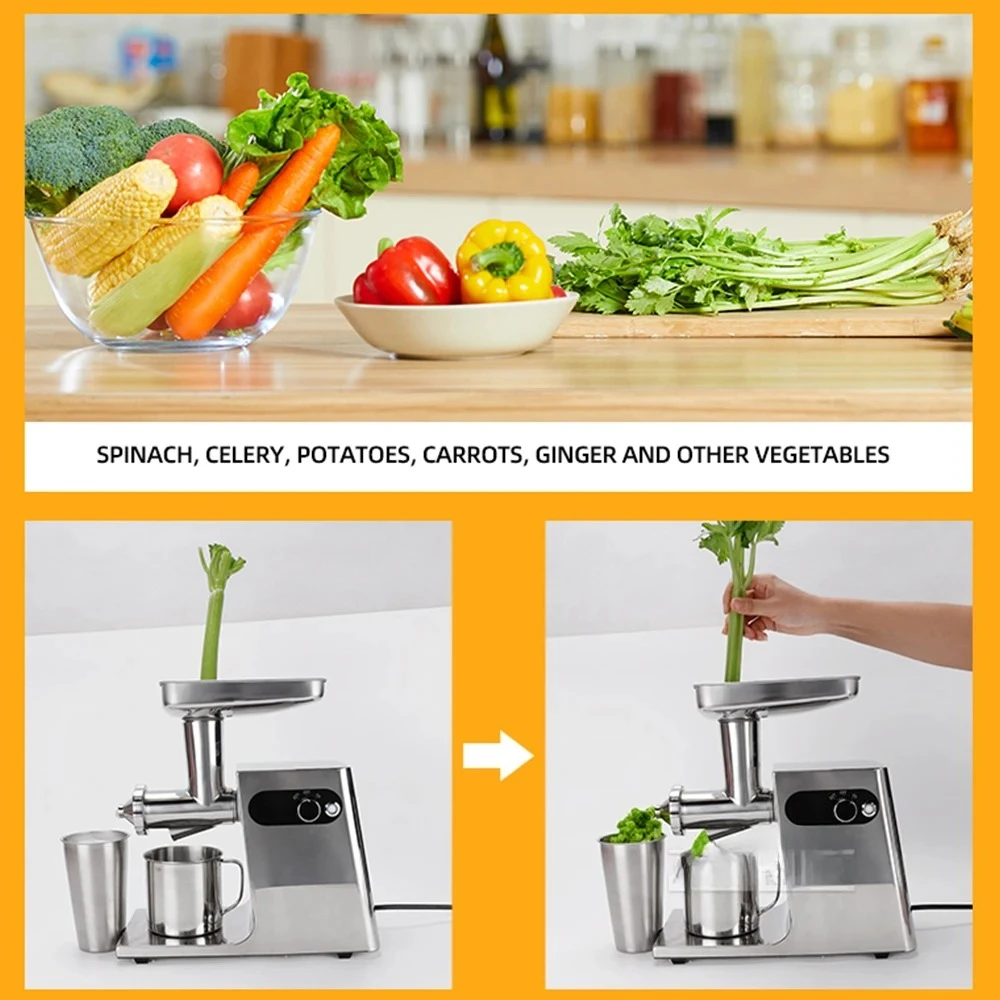 

Stainless Steel Juice Fruit Vegetable Juicer Compact Cold Press Torchio Pressa Per Uva