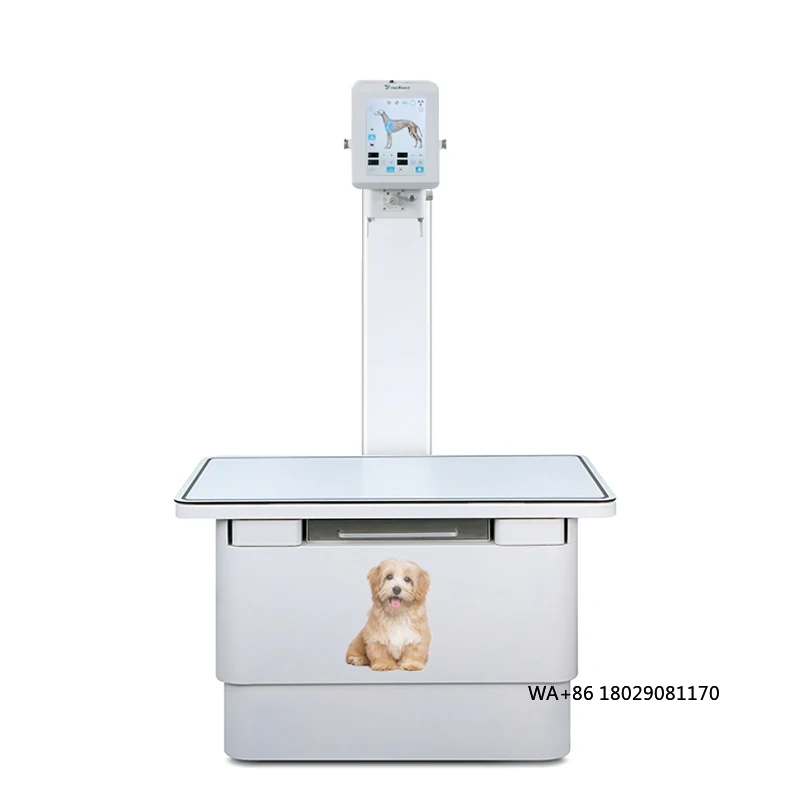 Diagnostic Equipmen…