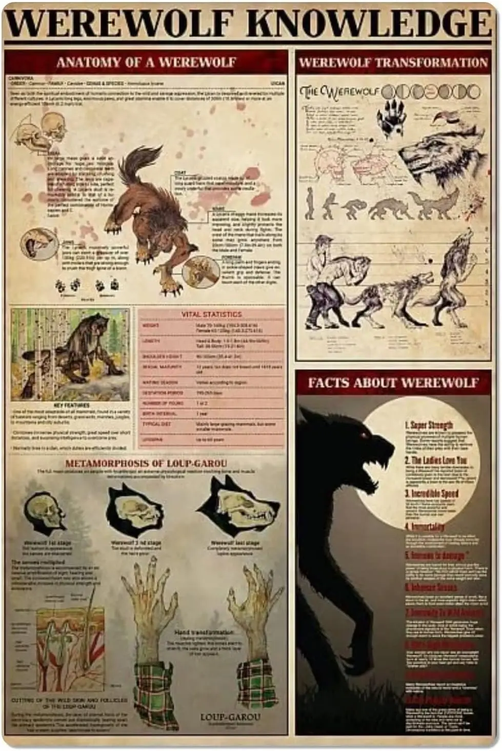 Werewolf Knowledge Metal Tin Signs Werewolf Reference Infographic Posters Werewolf Legend Guide Plaques Home Room Club