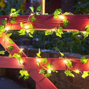 أعلى 11 مبيعات للنباتات الفاخرة - رقم 12