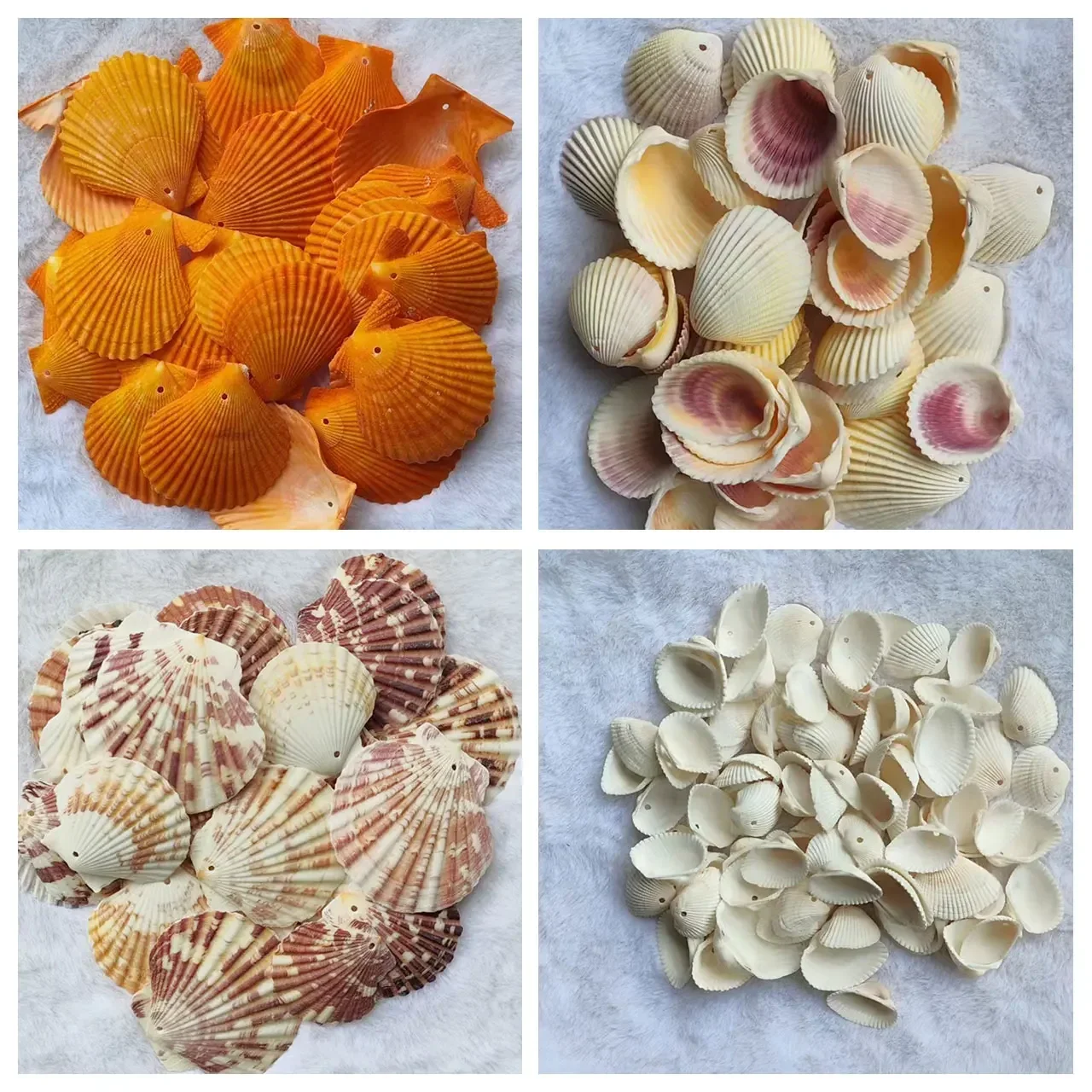 Perforated Conch Shell Natural Conch Shell Wind Chime DIY Handmade Material Wind Chime Production