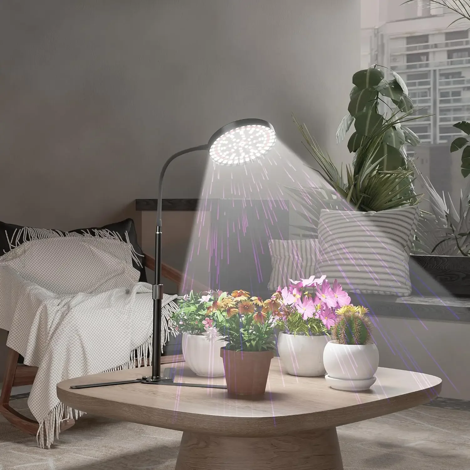 Plant Growing Lamp for Home Office Indoor Plants,Adjustable Height & Auto Timer Plant Grow Light LED Full Spectrum