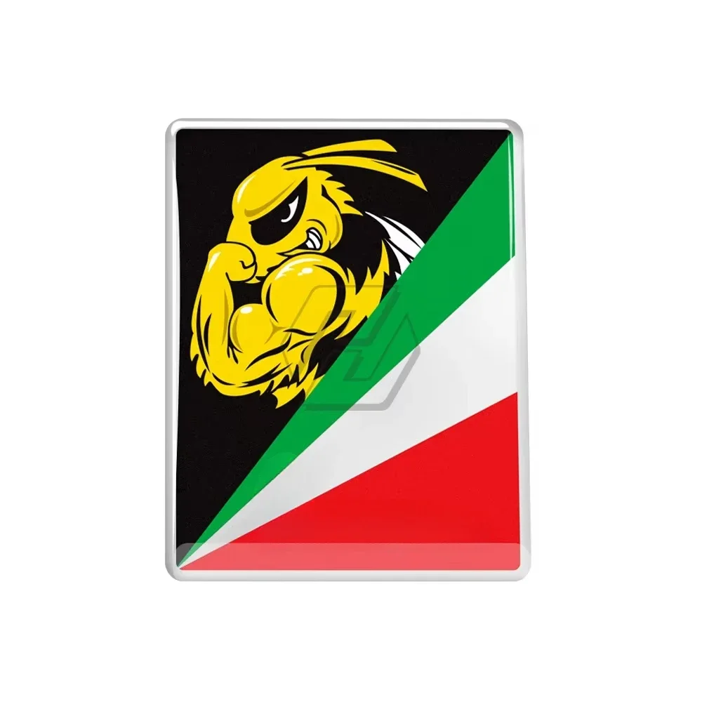 

3D Motorcycle Decal Italy Stickers Replace Logo Sticker Case for PIAGGIO VESPA GTS GTV LX LXV 125 250 300 Ie Super