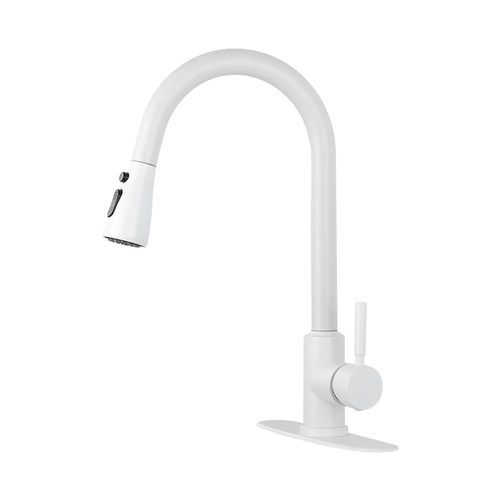 

Kitchen Faucet with Pull Out Spraye