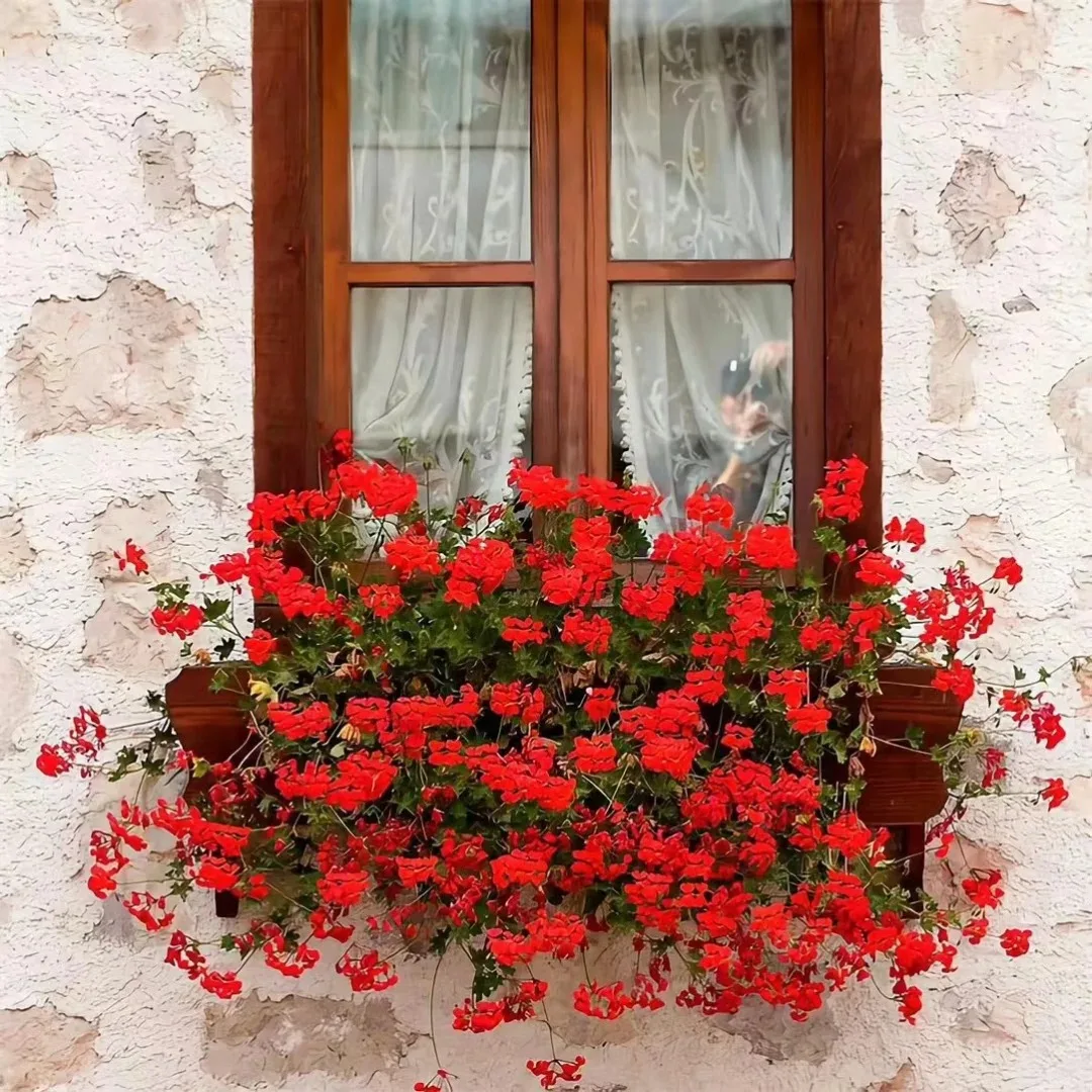 

8+256GB Android 13.0 For Land Range Rover Evoque L538 2011+ Car Multimedia Player GPS Navigation Headunit Auto Stereo Radio DSP