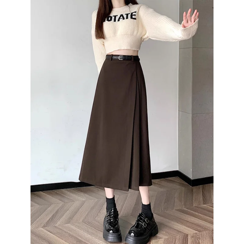 Woolen Skirt Women's Autumn and Winter New High Waist Big Swing Umbrella Skirt Small Drooping Slimming PleatedaLong Skirt