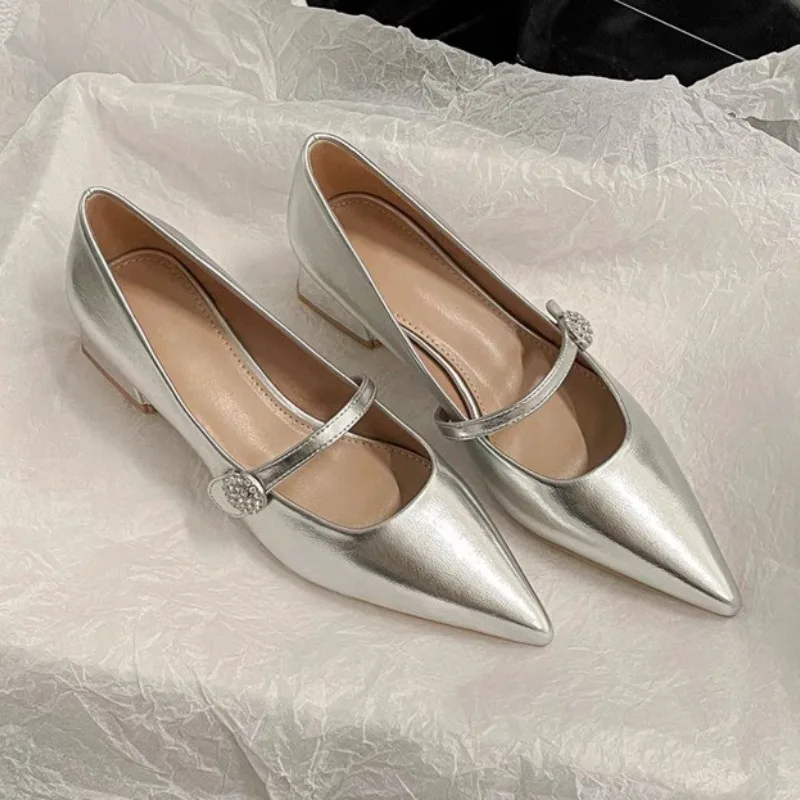 Pointed Toe Women Shoes 2024 Spring New Silver Mary Jane Shoes Comfortable Low Heel Dress Shoes Simple Versatile Women\'s Pumps